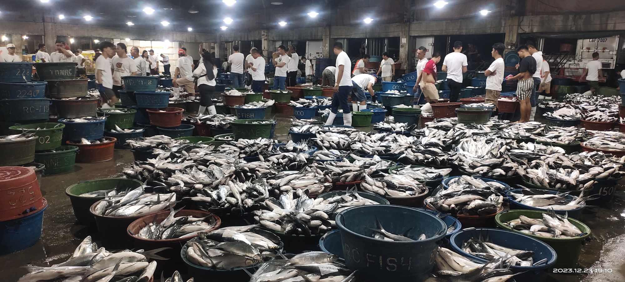 St. Joseph Fish Brokerage Inc. Navotas Market